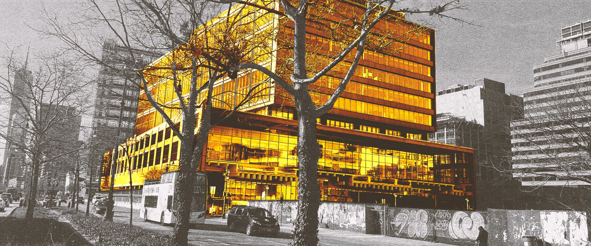 Why You Should Hire A Skilled Carpet Cleaner In Rochester, NY For Your