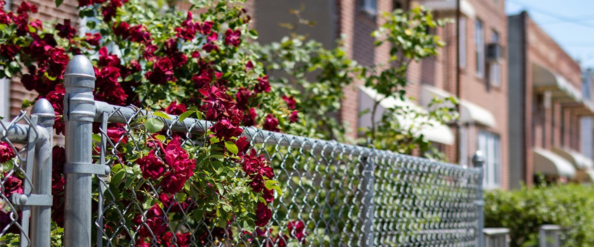 Maximizing The Benefits Of Foreclosure Cleanout Services In Boise For