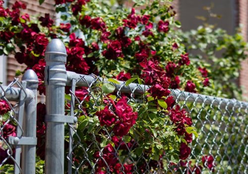 Maximizing The Benefits Of Foreclosure Cleanout Services In Boise For Steel Buildings Properties